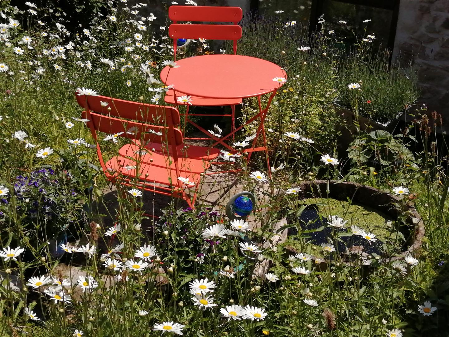 Silverdale Cottage Springbank Close, Oswestry, SY10 9DJ For Sale Silverdale Cottage Springbank Close, Oswestry, SY10 9DJ For Sale